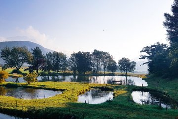 Ristorante e centro di pesca Schwarzfischer