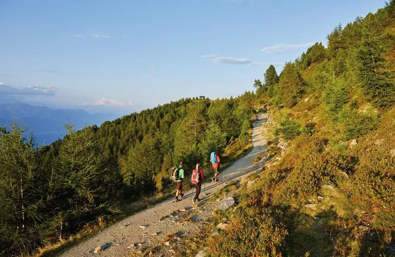 Wandern am Zirbenweg