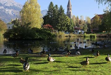 Rapoldi Park