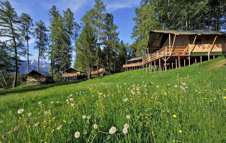 Inmitten der Natur: Ferienparadies Natterer See