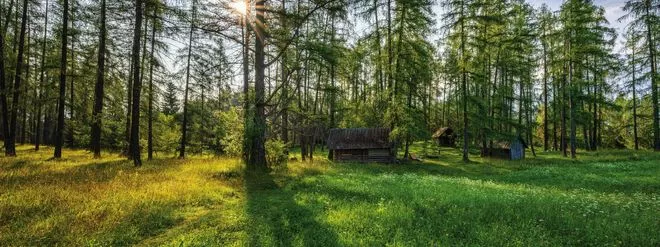 Waldbaden Mieminger Plateau