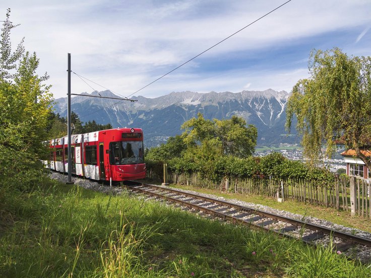 Waldbahn Linie 6