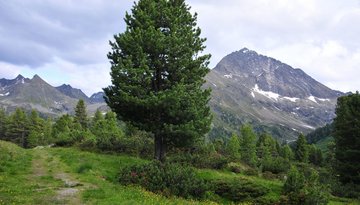 Kaiser-Franz-Josef-Weg