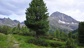 Kaiser-Franz-Josef-Weg