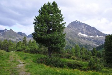 Kaiser-Franz-Josef-Weg trail