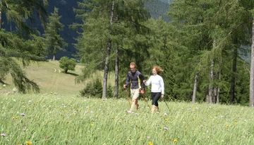 Nordic-Walking: Larchwiesen-Runde