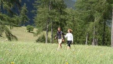 Nordic-Walking: Larchwiesen-Runde