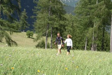 Nordic-Walking: Larchwiesen-Runde