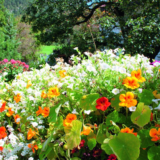 El jardín de los sentidos