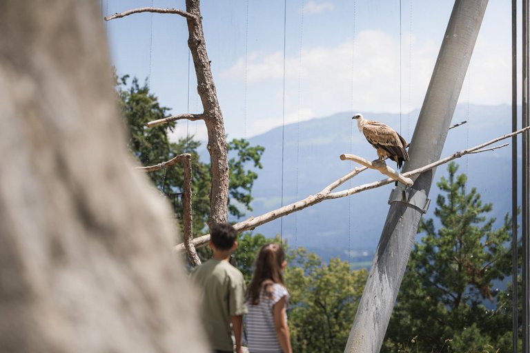 Alpenzoo