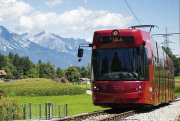 Promenade 8 : Sortir dans la nature