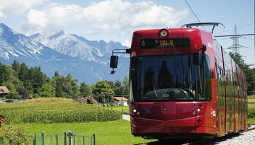 Promenade 8 : Sortir dans la nature