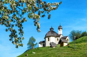 Nature awakens – spring in Innsbruck – a photo love story!