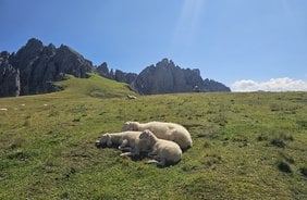 Wandern auf den Spuren von David Lama