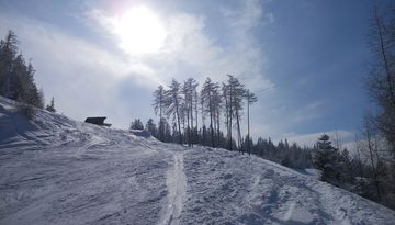 Excursión con raquetas de nieve a Grünberg