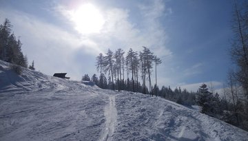 Sneeuwschoenwandeling Grünberg