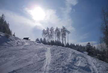 Excursión con raquetas de nieve a Grünberg