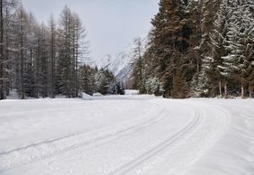 Winter Mieminger Plateau