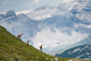 Naturpark Karwendel