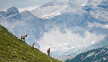 Naturpark Karwendel