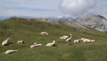 Höllkopf