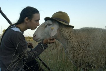 New Voices presents MUSS DAS PFERD AUCH ARBEITEN?