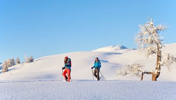 Excursión con raquetas de nieve al refugio Simmeringalm