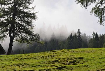 Neue Magdeburger Hütte (50)