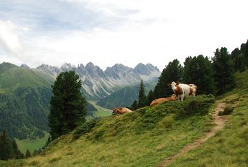 Ruta alpina Salfainssee - Schaflegerkogel - Kemater Alm