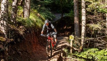 Hungerburg Trail (596)