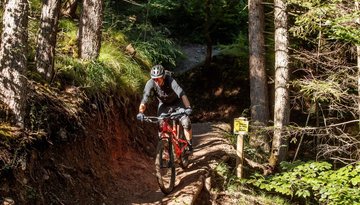 The Hungerburg Trail (596)
