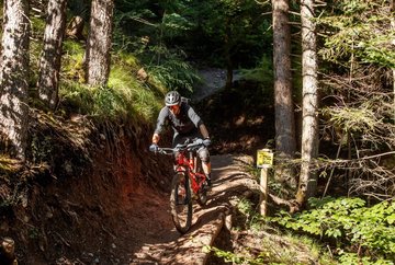 The Hungerburg Trail (596)