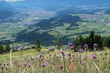 Panorama restaurant Stiglreith