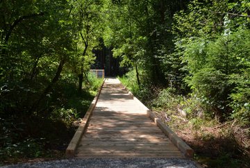 Circuit des marais forestiers de Tantegert
