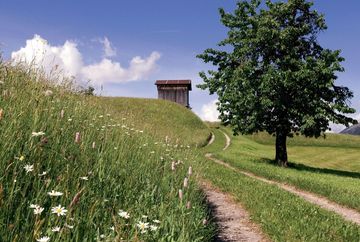 Camino Peter-Anich-Weg