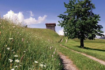 Peter-Anich-Weg trail