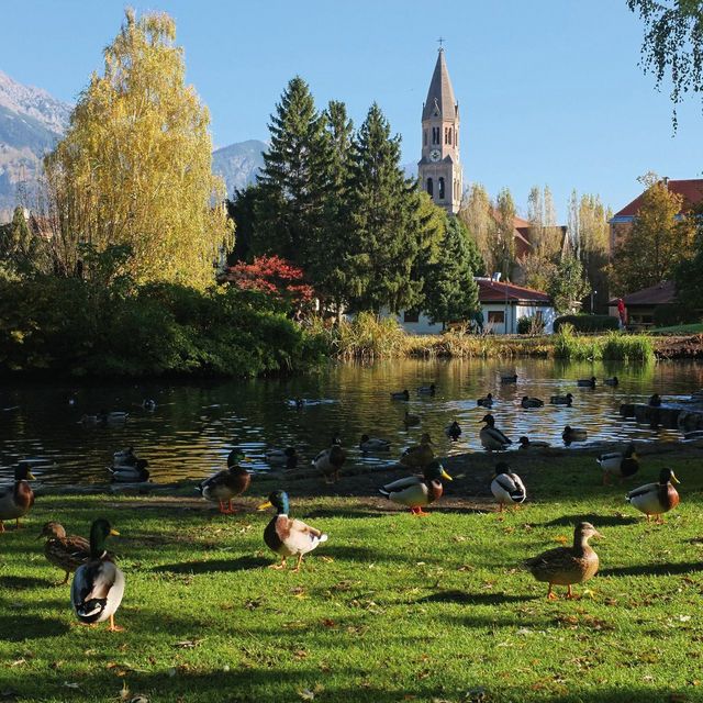 Beliebt bei Einheimischen: Rapoldipark