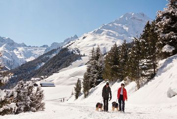 Pista da slittino della malga Koglalm Praxmar Pista da slittino della malga Koglalm Praxmar