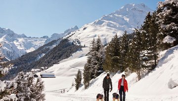 Rodelbahn Koglalm Praxmar
