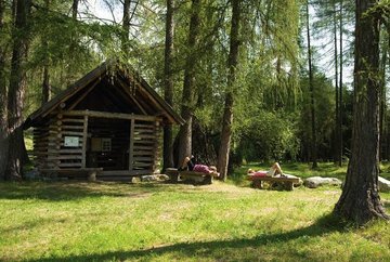 Bosque de alerce en Obsteiger Larchsteig