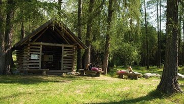 Lärchenwald am Obsteiger Larchsteig