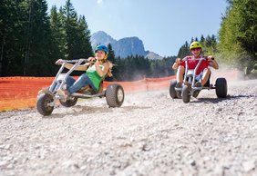 Mountain Carts Muttereralm