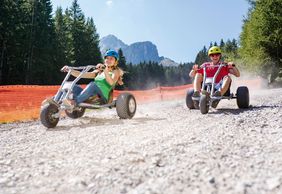 Mountain Carts Muttereralm