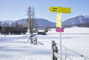 Winterwanderweg Almenroute