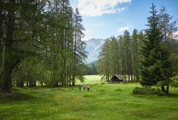 Camino circular Mooswiesen
