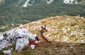 Nordkette Entdeckertour