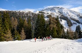 Con le racchette da neve verso il Tettuccio Bianco – con una guida attraverso il Axamer Lizum