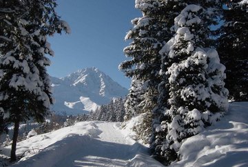 Tobogganing at Bergbahnen Oberperfuss