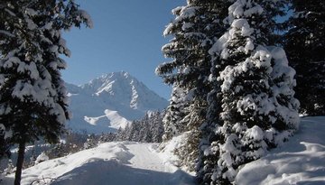 Rodelbahn Bergbahnen Oberperfuss