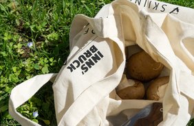 Tiroler Bio-Pilze: Schwammerln vom Feinsten